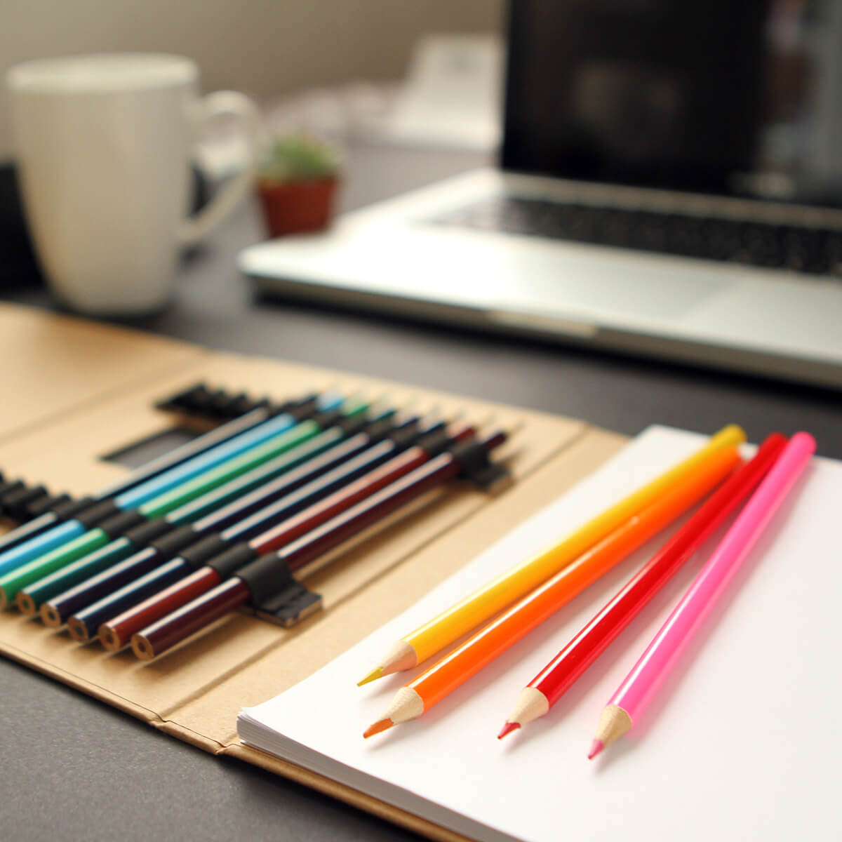 Set Ecológico Goa - Imagen 3