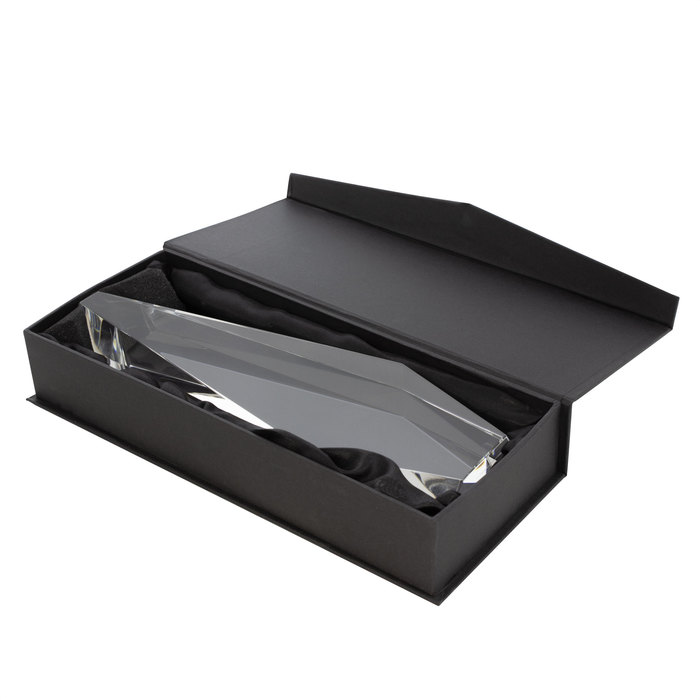 Trofeo Winner - Imagen 3