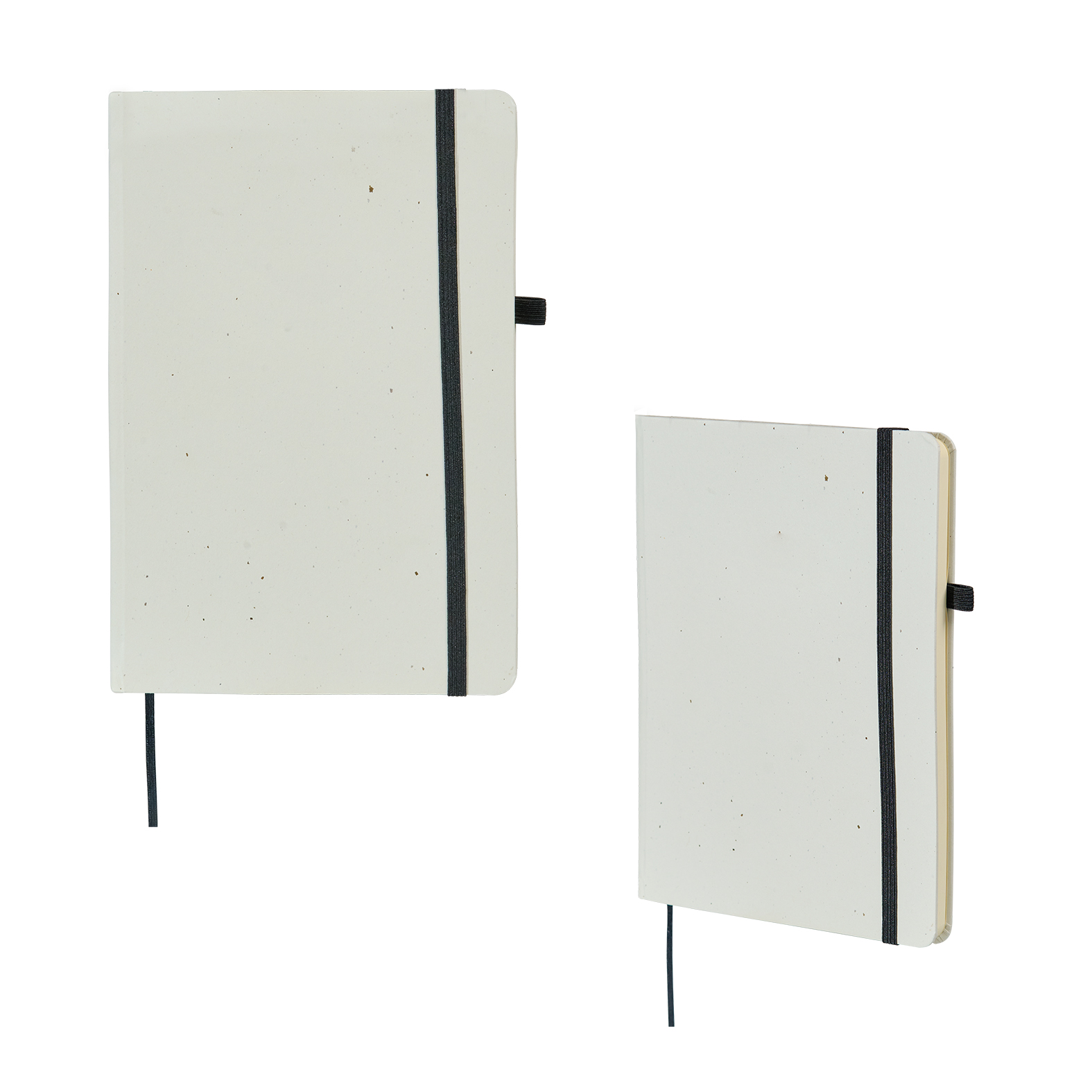 Libreta Yang - Imagen 3