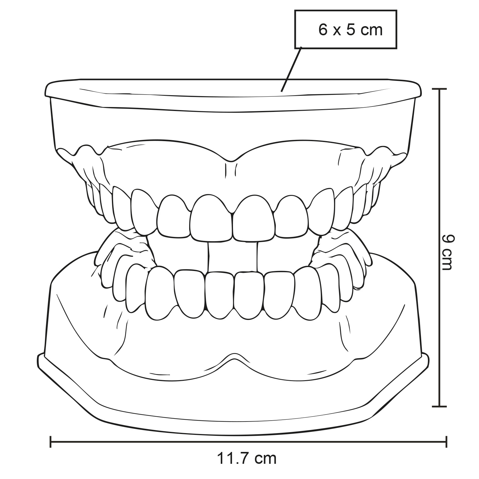 Modelo Odonto - Imagen 4