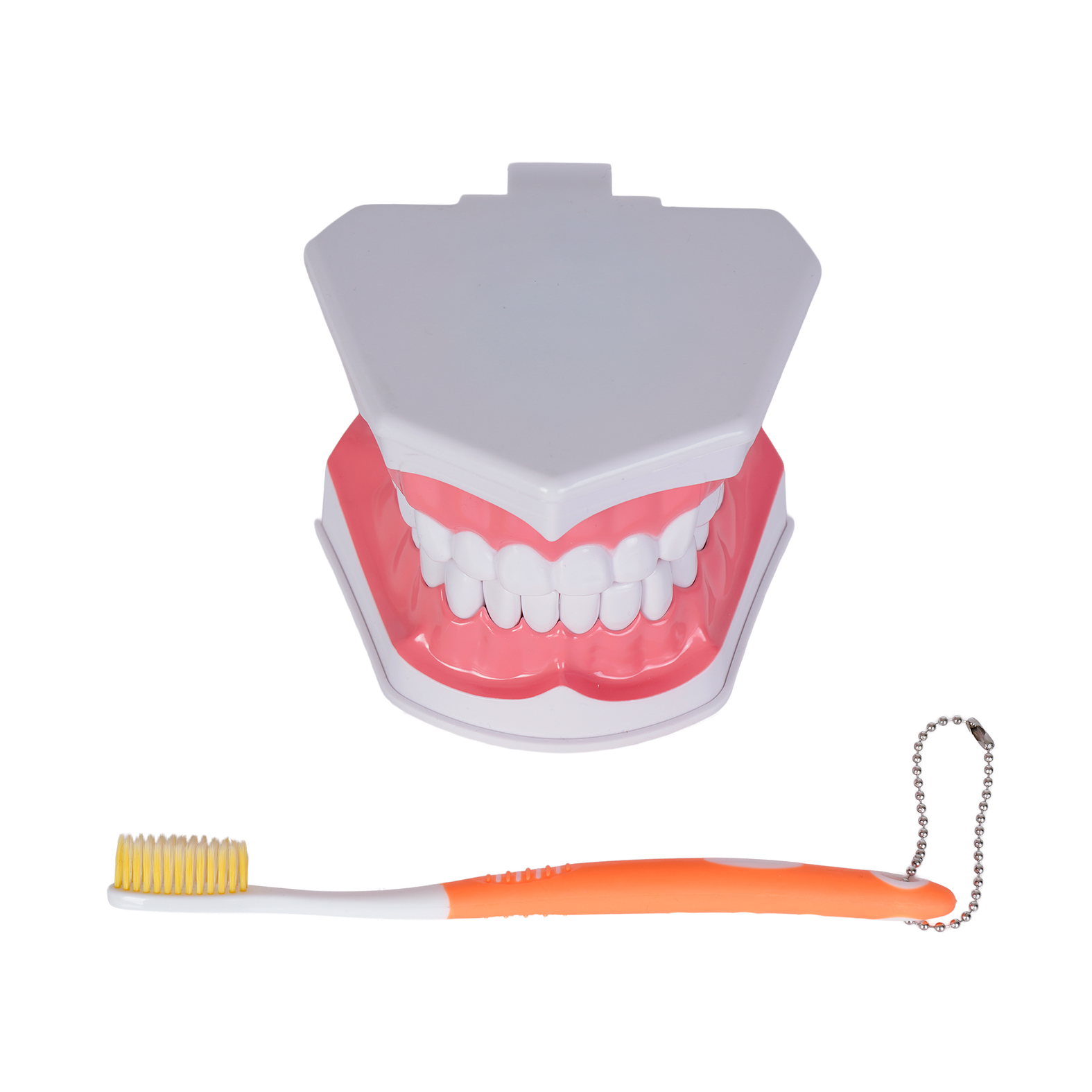 Modelo Odonto - Imagen 3